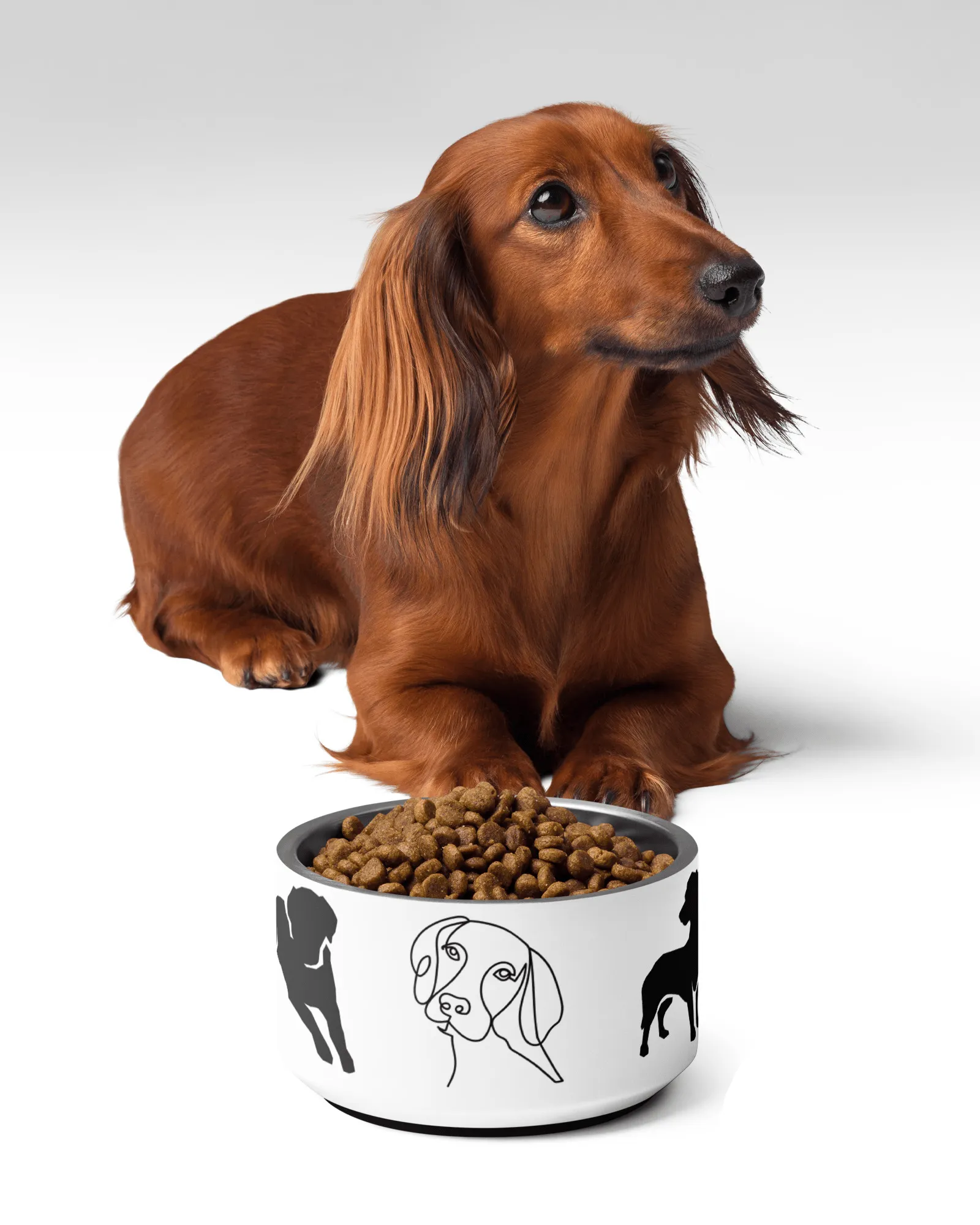 Chic Dog Bowl: Elevate Mealtime with Neleti's Stylish Design