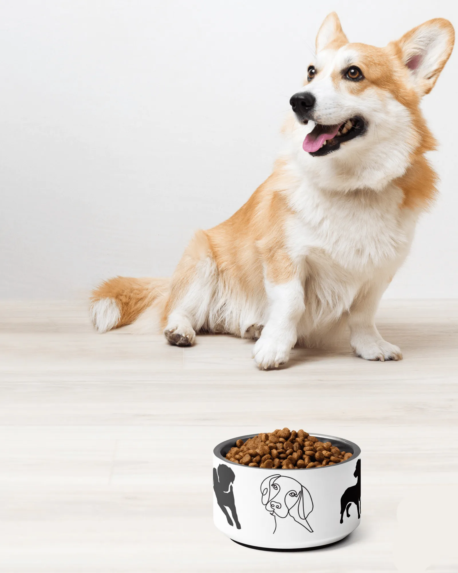 Chic Dog Bowl: Elevate Mealtime with Neleti's Stylish Design