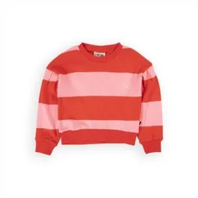 Girls Sweater | Sweater: Stripes Pink and Red | CarlijnQ